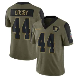 Men's Bryce Cosby Las Vegas Raiders No.44 Limited 2021 Salute To Service Jersey - Olive