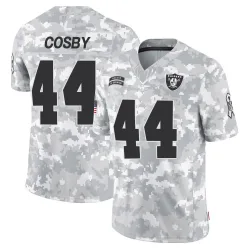 Men's Bryce Cosby Las Vegas Raiders No.44 Limited 2024 Salute to Service Jersey - Arctic Camo